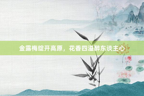 金露梅绽开高原,花香四溢醉东谈主心